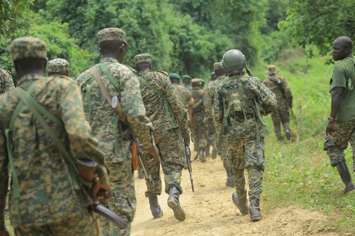 UPDF in DRC