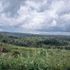 A view from an M23 military position