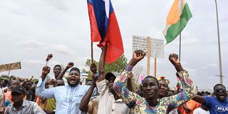 Niger protests