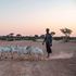 Drought in Horn of Africa
