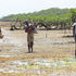 Seaweed farmers