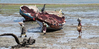 Seaweed farmers
