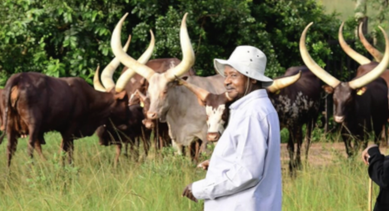 Screenshot 2025-11-06 at 10.09