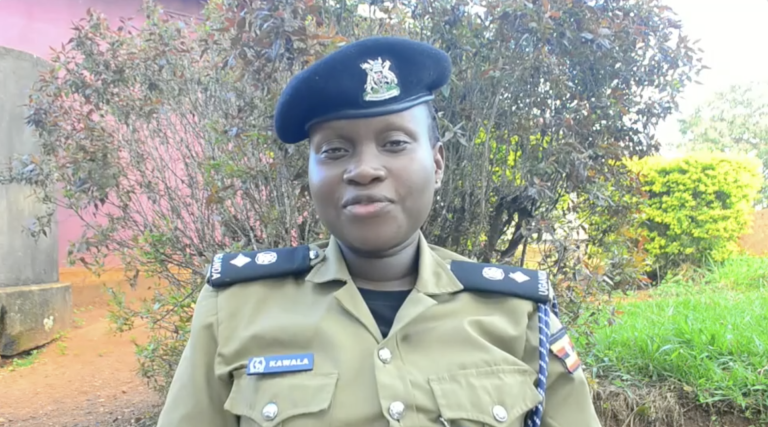 Screenshot 2025-11-07 at 7.52