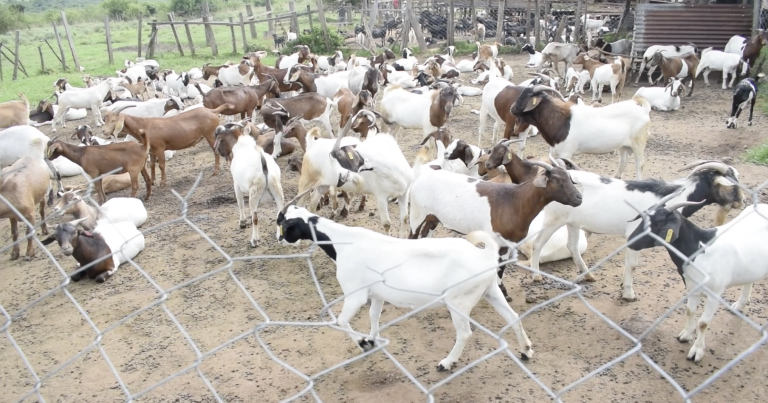 Screenshot 2025-11-08 at 1.50