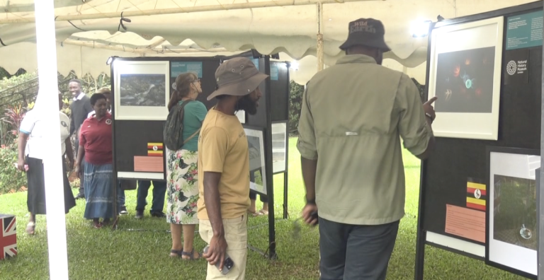 Screenshot 2025-11-09 at 1.27