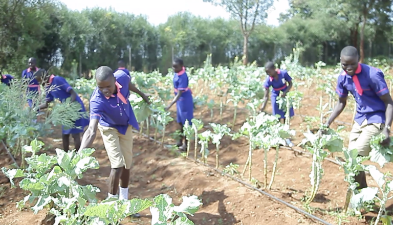 Screenshot 2025-11-09 at 10.03