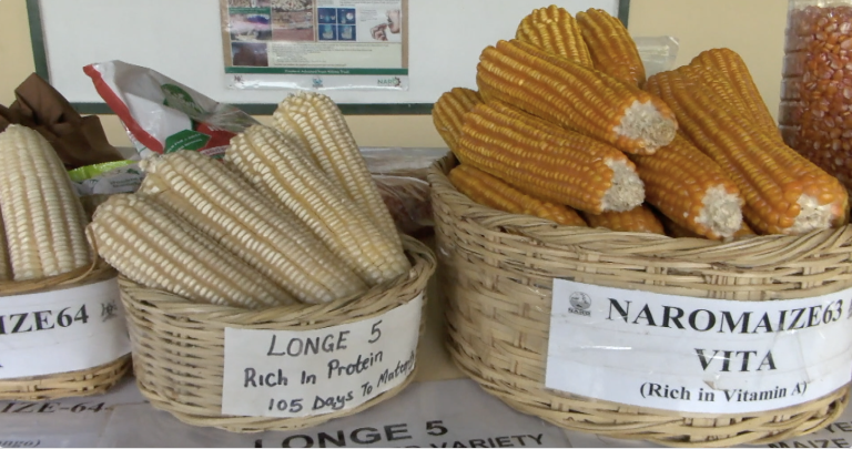 Screenshot 2025-11-13 at 10.57