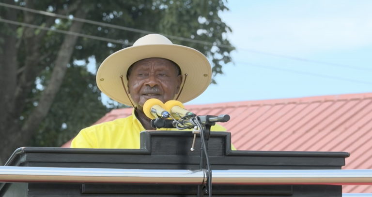 Screenshot 2025-11-13 at 8.33