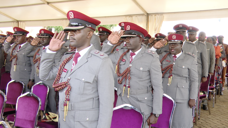 Screenshot 2025-11-14 at 7.20