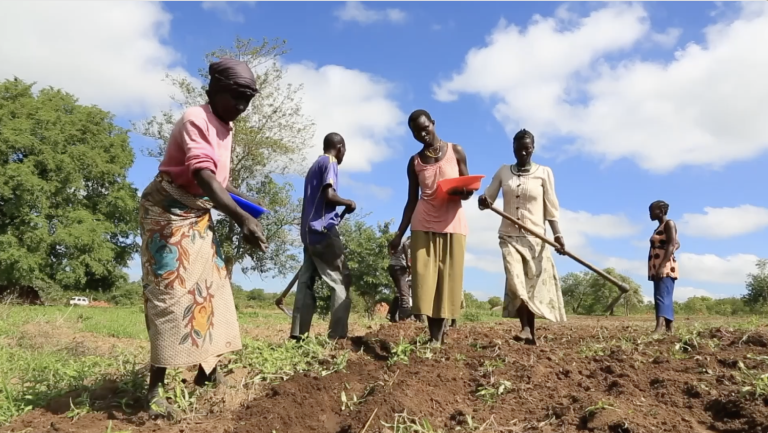 Screenshot 2025-11-14 at 7.33