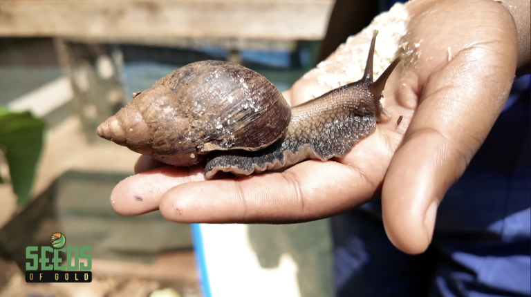 Screenshot 2025-11-15 at 11.39